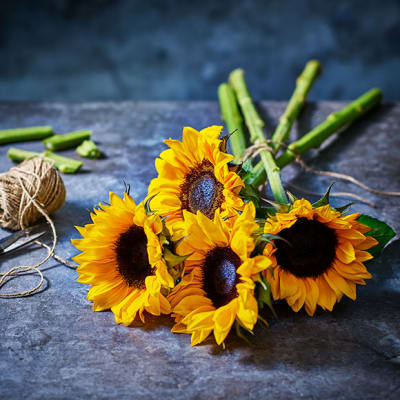 A bunch of sunflowers