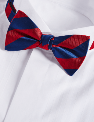 Pure Silk Striped Bow Tie