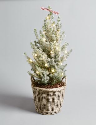 Christmas Tree in Basket