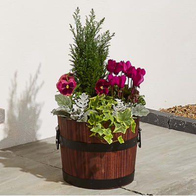Flowers & Plants Online | Free Next Day Flowers Delivery | M&S