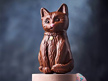 M&S Coco the Kitten chocolate Easter egg