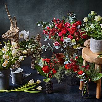 A selection of Christmas flowers