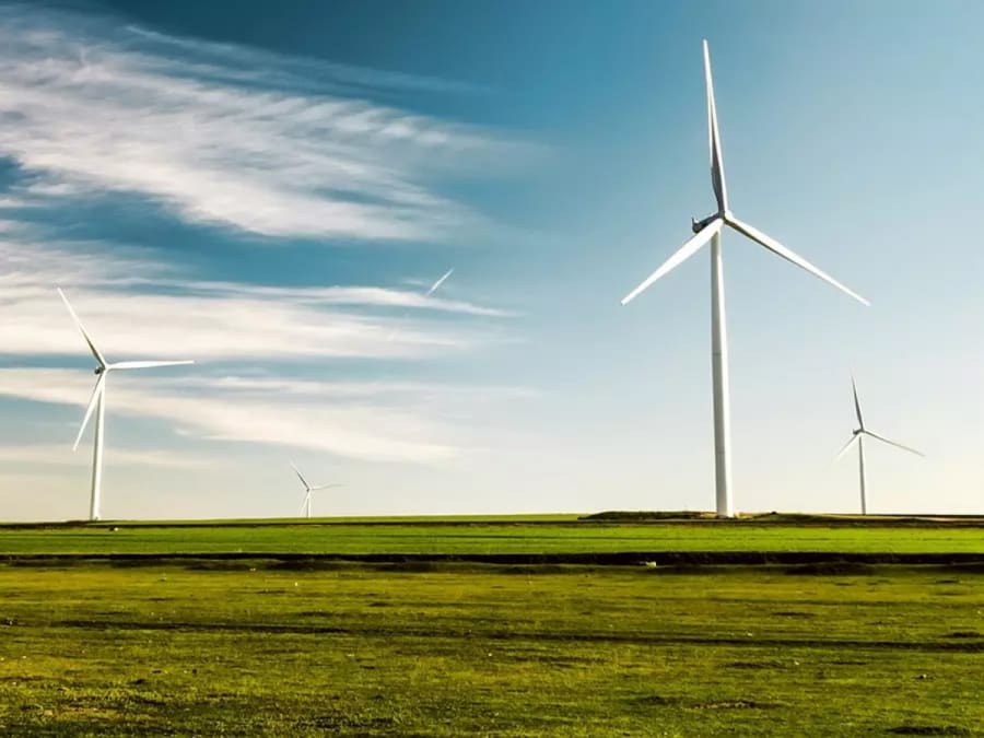 Wind turbines in a field. Find out about our 100% renewable electricity