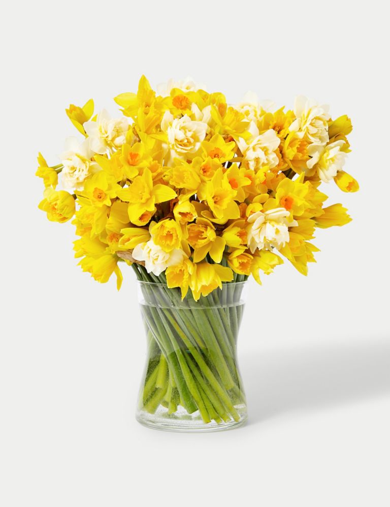 100 British Daffodils & Narcissus Bouquet 3 of 5
