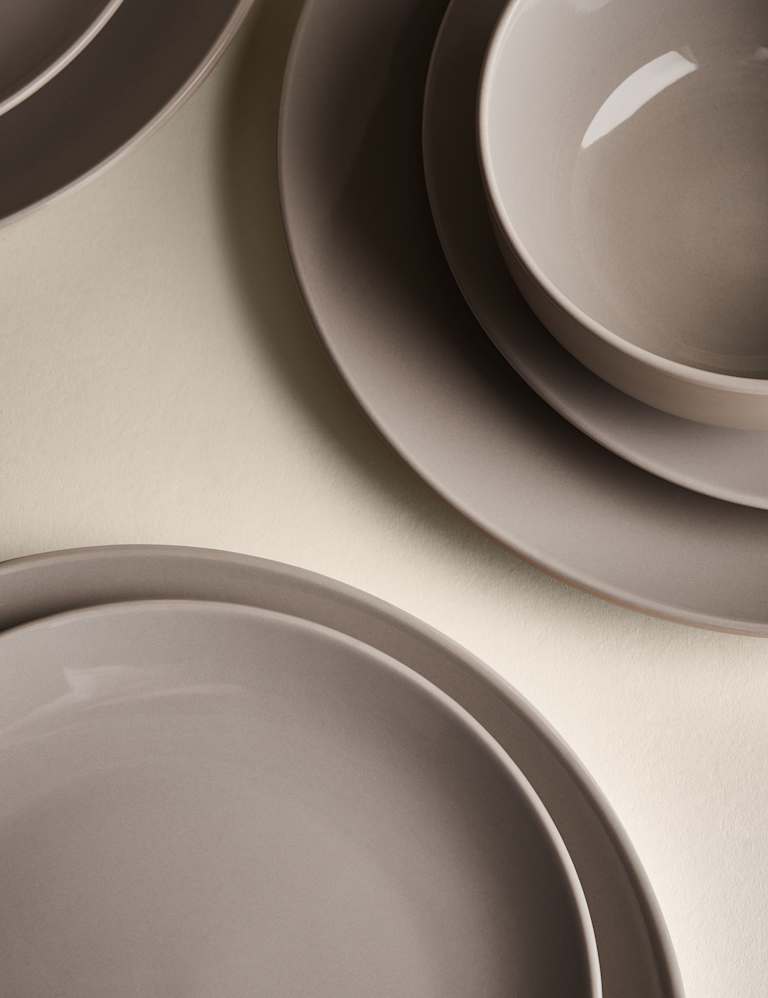 Everyday dinner plates deals