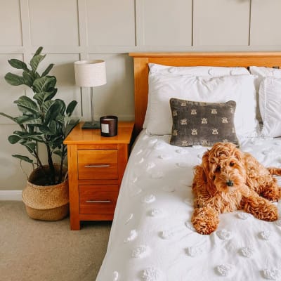 Bedroom featuring bed made up with white bed linen and natural accessories