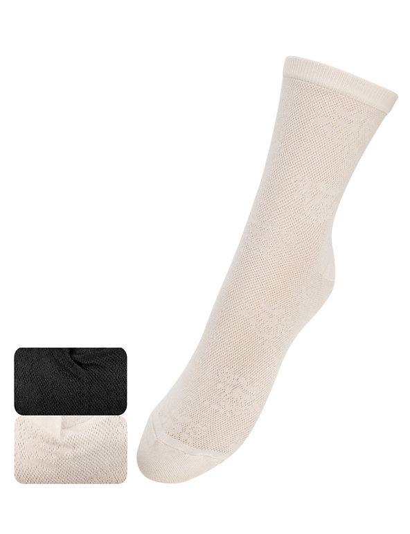 2 Pair Pack Lace Design Ankle High Socks Image 1 of 1