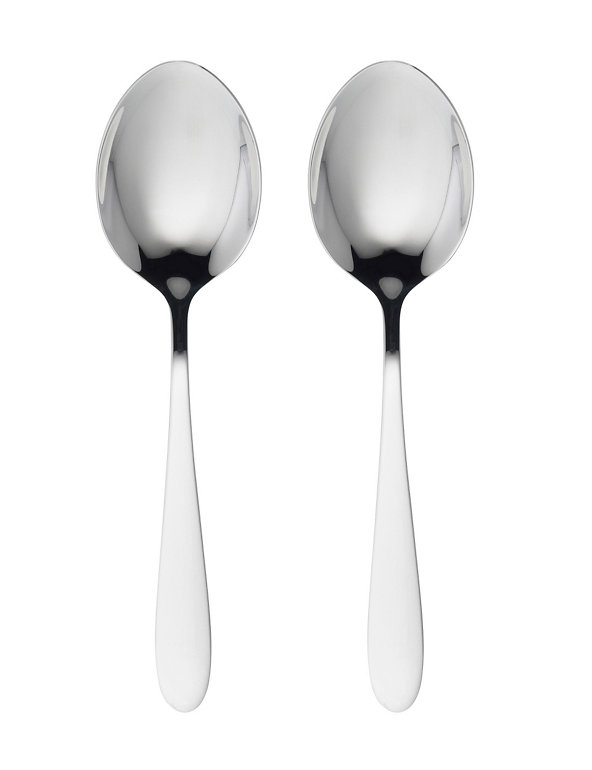 2 Stainless Steel Serving Spoons Image 1 of 1