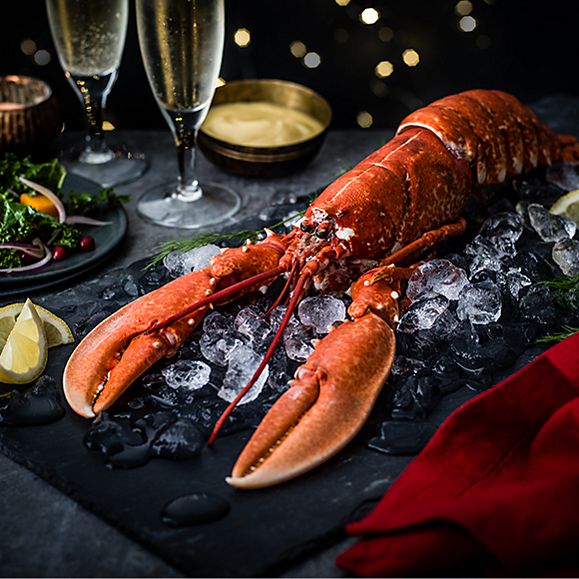 A whole lobster on ice with lemon wedges