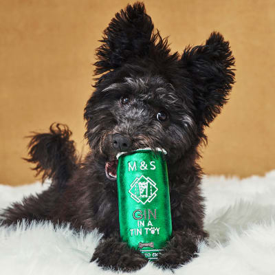 marks and spencer dog toy