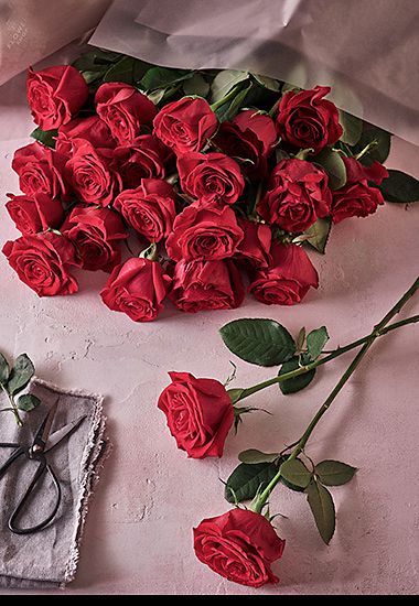 Two dozen Freedom™ red roses