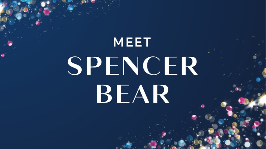 Teddy bear top marks and spencer