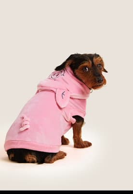 Dog wearing Percy Pig pink jumper. Shop now