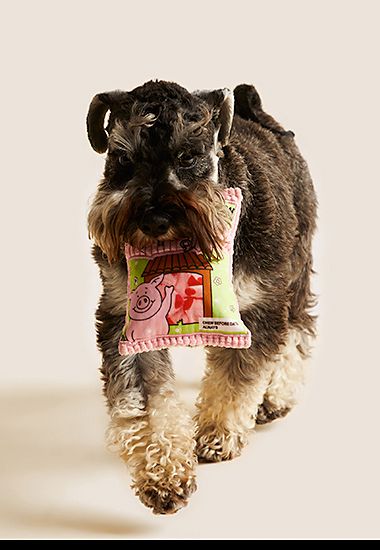 Dog carrying a Percy Pig pet toy. Shop now