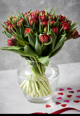Double red tulips bouquet