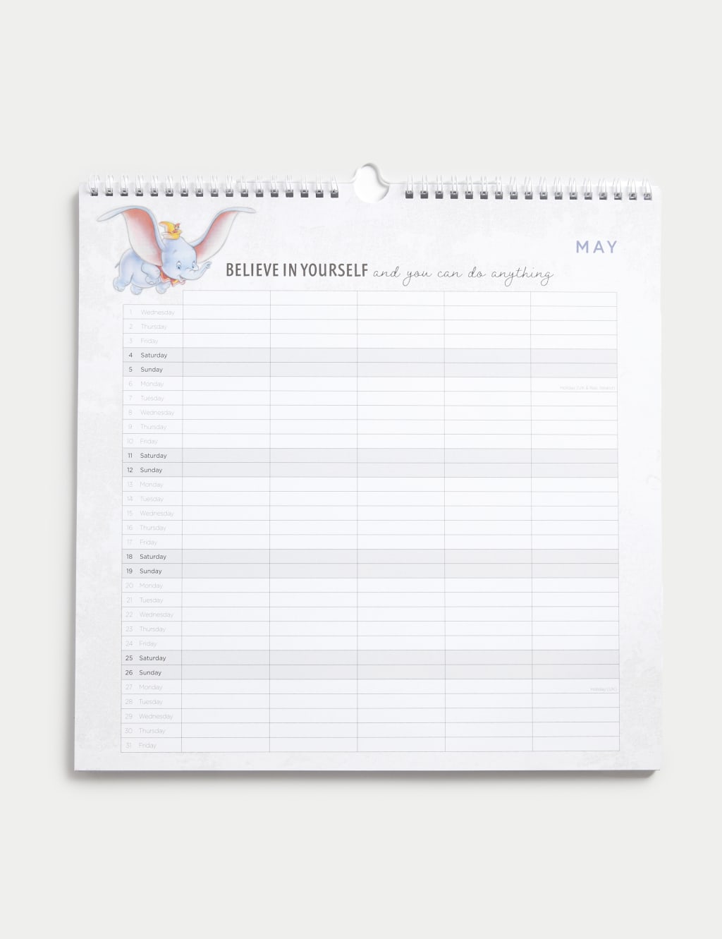 2024 Calendar & Family Organiser - Disney 100 Design | M&S