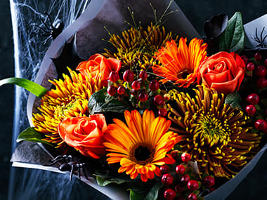 Autumn flowers