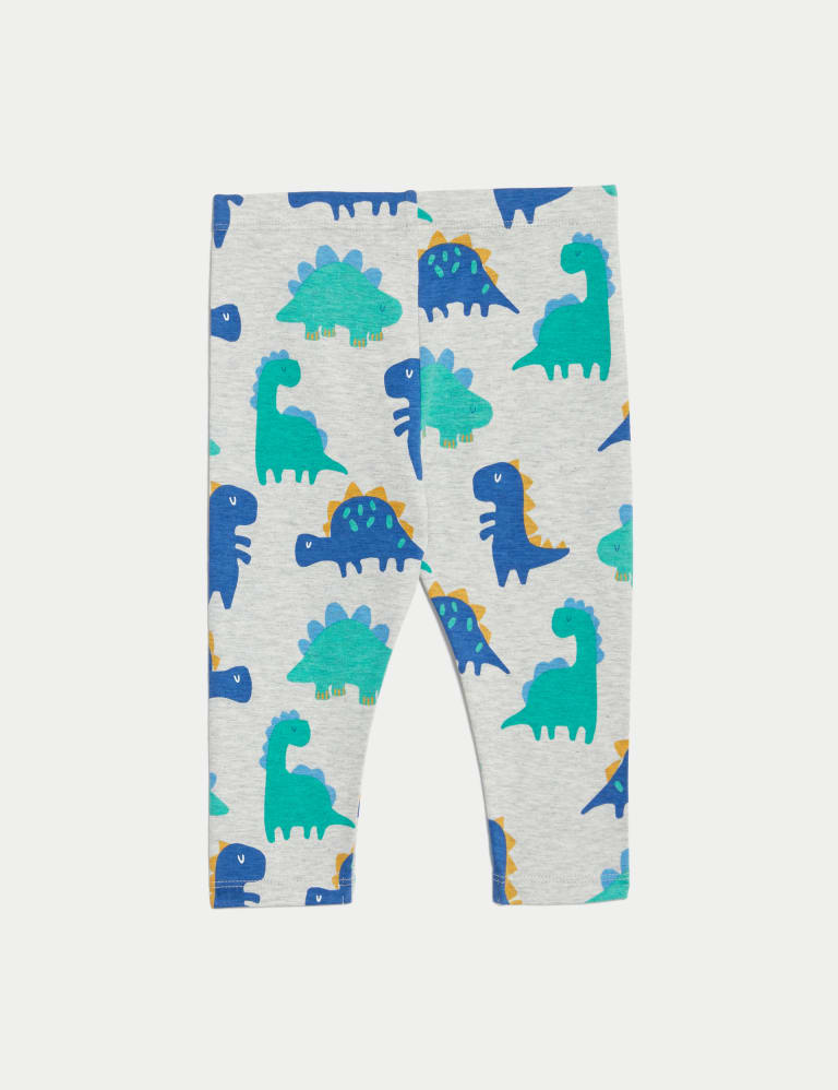 Boys shop dinosaur leggings