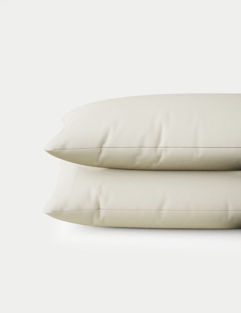 2pk Cotton Rich Pillowcases 3 of 4