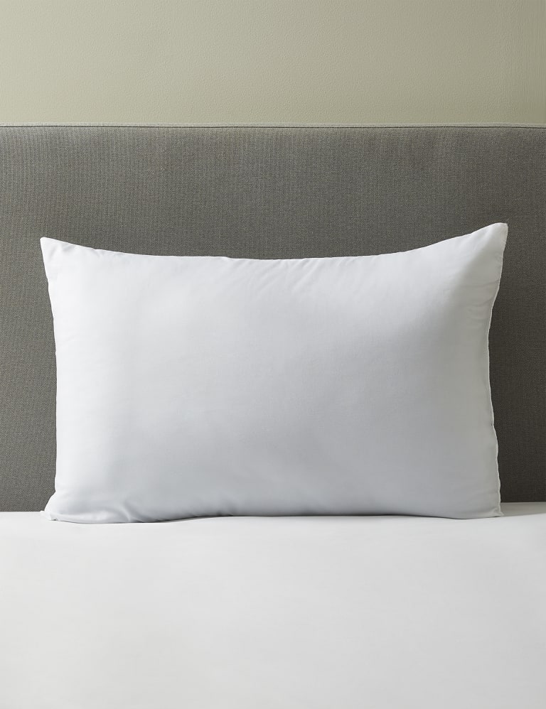 Eve microfibre shop pillow review