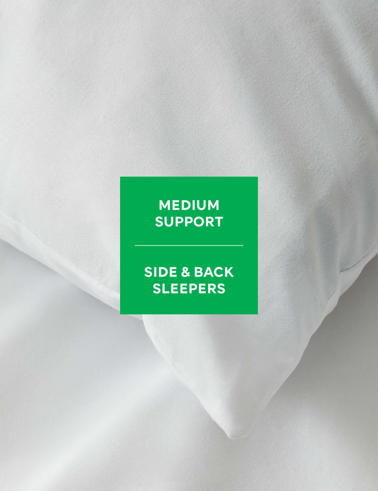 Eve microfibre pillow new arrivals