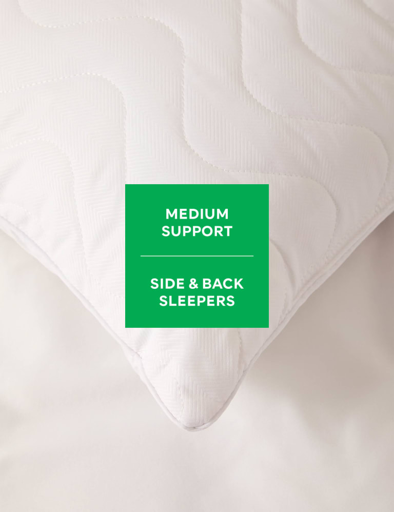 Marks and spencer pillows store