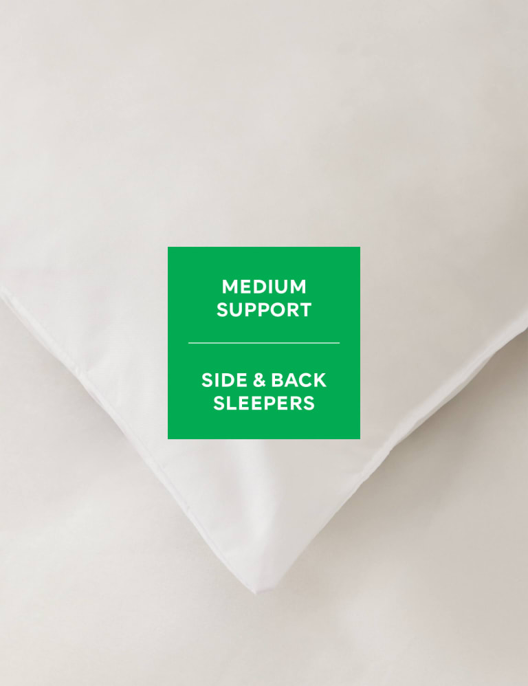 Allergy proof hot sale pillows