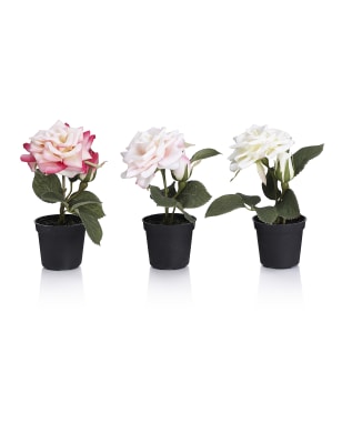 3 Artificial Mini Roses Arrangement M&S