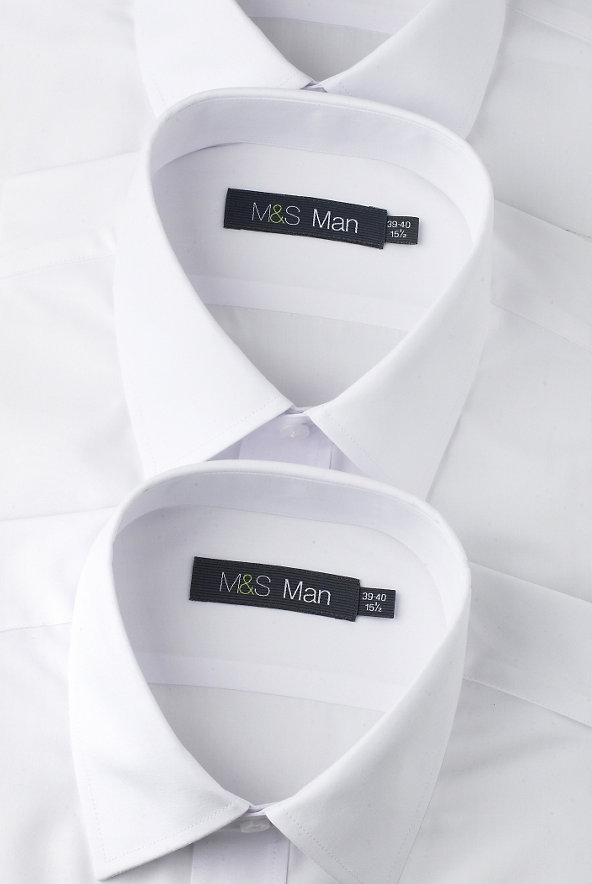 3 Pack 2in Shorter Easy Care Classic Collar Shirts Image 1 of 1