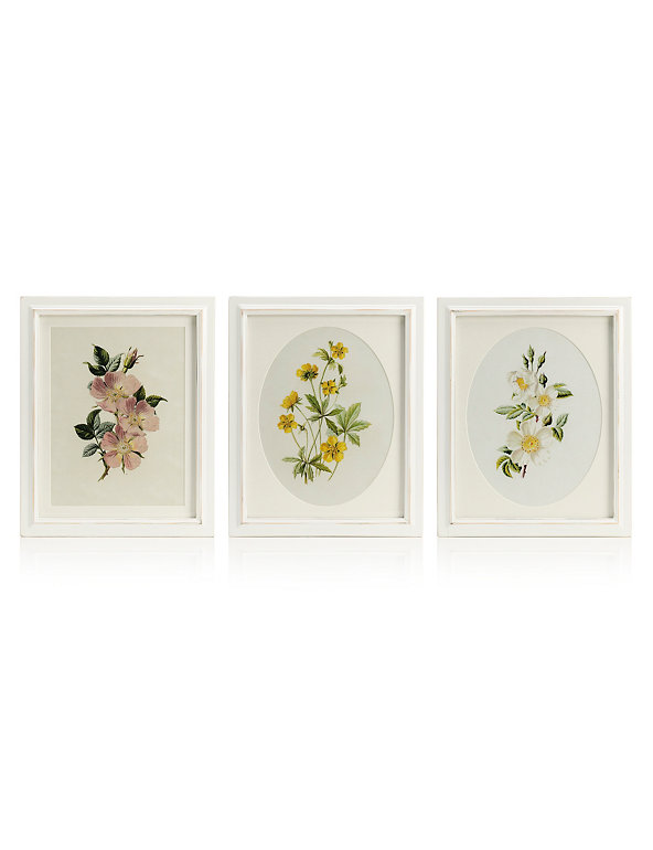 3 Pack Floral Wall Art Image 1 of 1