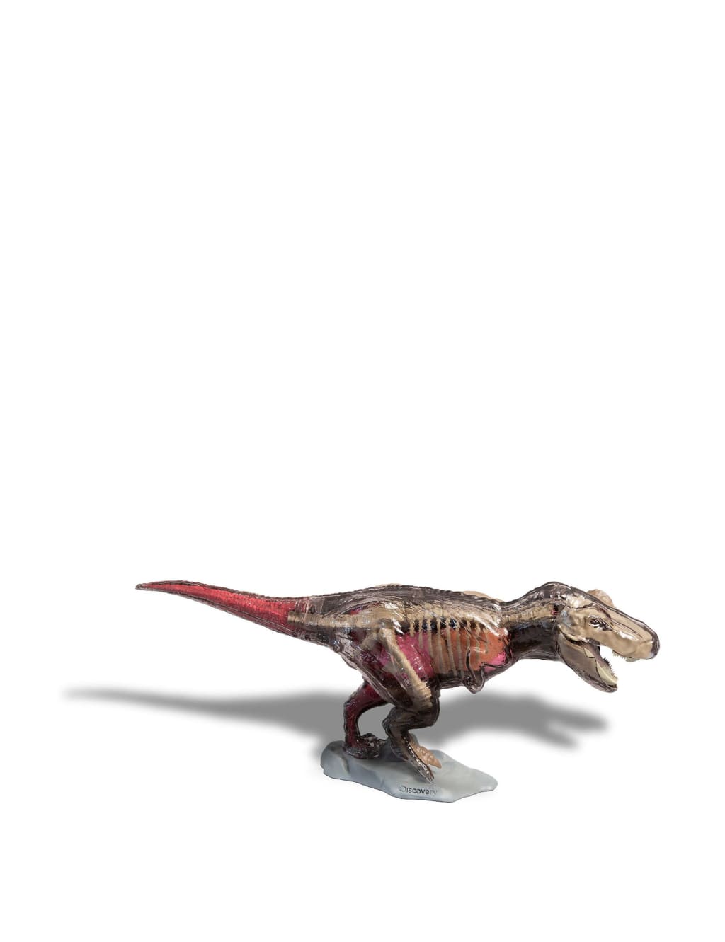 Discovery dinosaur discount toy