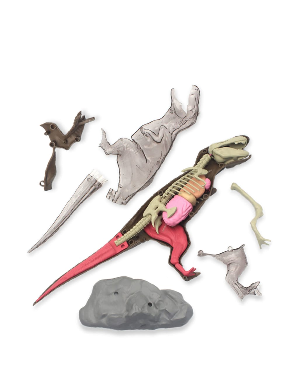 Jurassic world stem anatomy sales kit