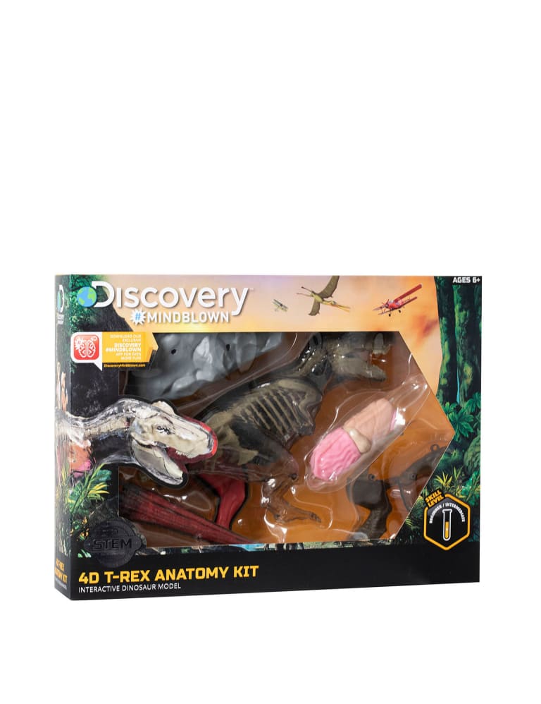T rex anatomy kit clearance
