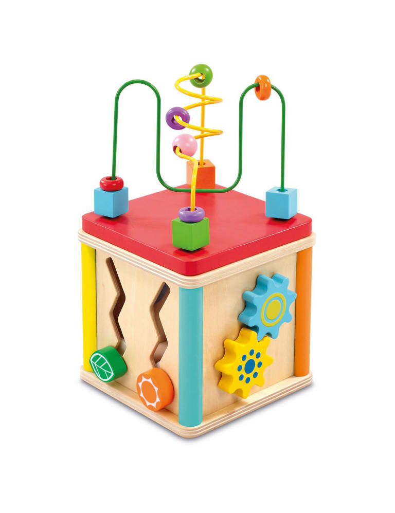 5 In 1 Activity Cube 1 Yrs