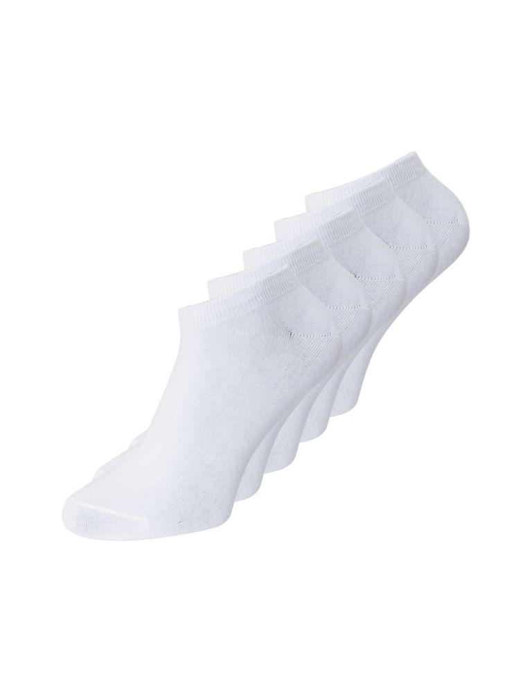 5pk Cotton Rich Ankle Socks 4 of 4