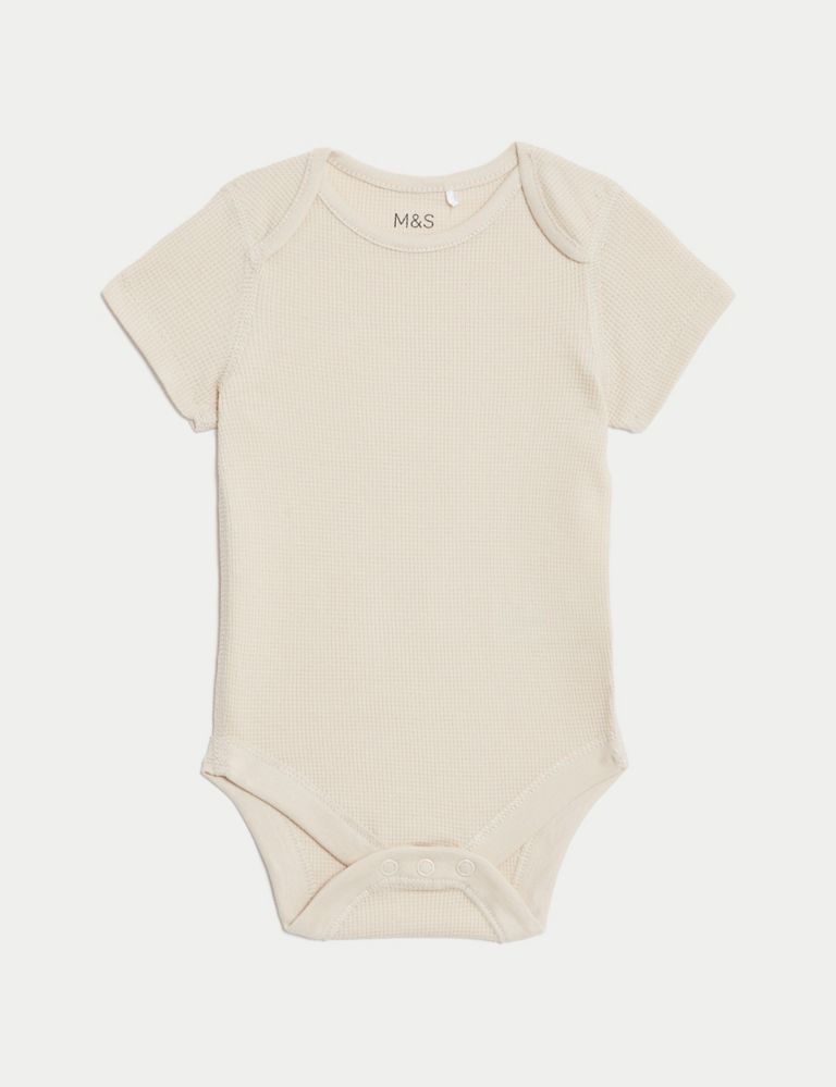 5pk Pure Cotton Bodysuits (6½lbs-3 Yrs) 2 of 4