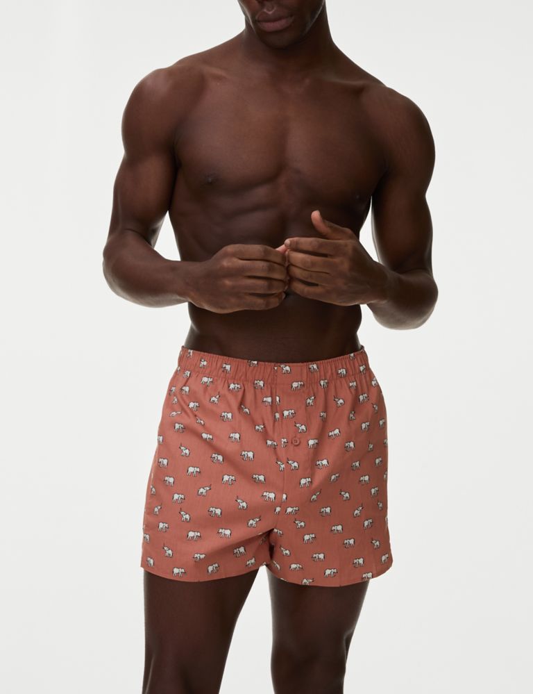 MARKS & SPENCER M&S 3pk Pure Cotton Animal Print Woven Boxers - T14/3929  2024, Buy MARKS & SPENCER Online