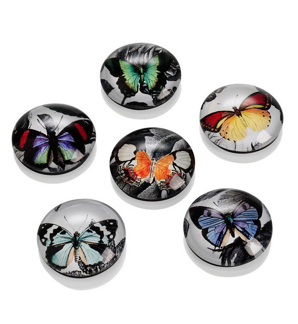 6 Butterfly Design Magnets Image 1 of 1