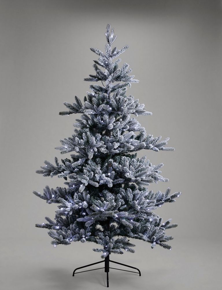 7ft Lit Frosted Noble Christmas Tree 4 of 7