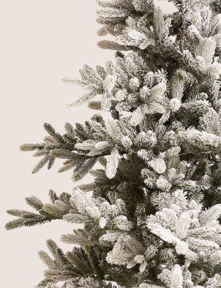 7ft Lit Frosted Noble Christmas Tree 5 of 7
