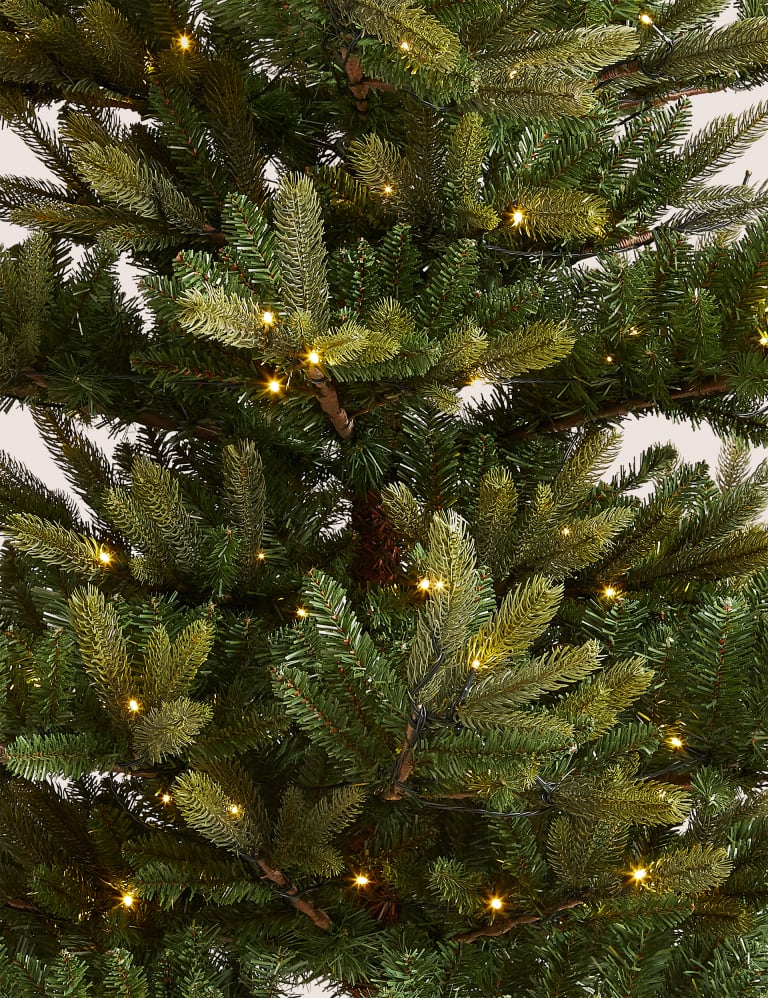 7ft Lit Noble Christmas Tree M&S
