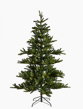 7ft Pre Lit Noble Fir Memory Branch Christmas Tree Image 2 of 7