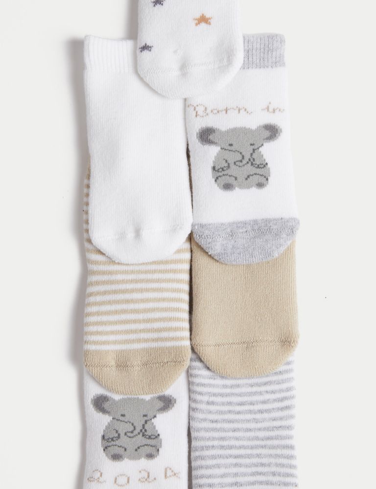 7pk Cotton Rich Born in 2024 Socks (0-12 Months) 2 of 2