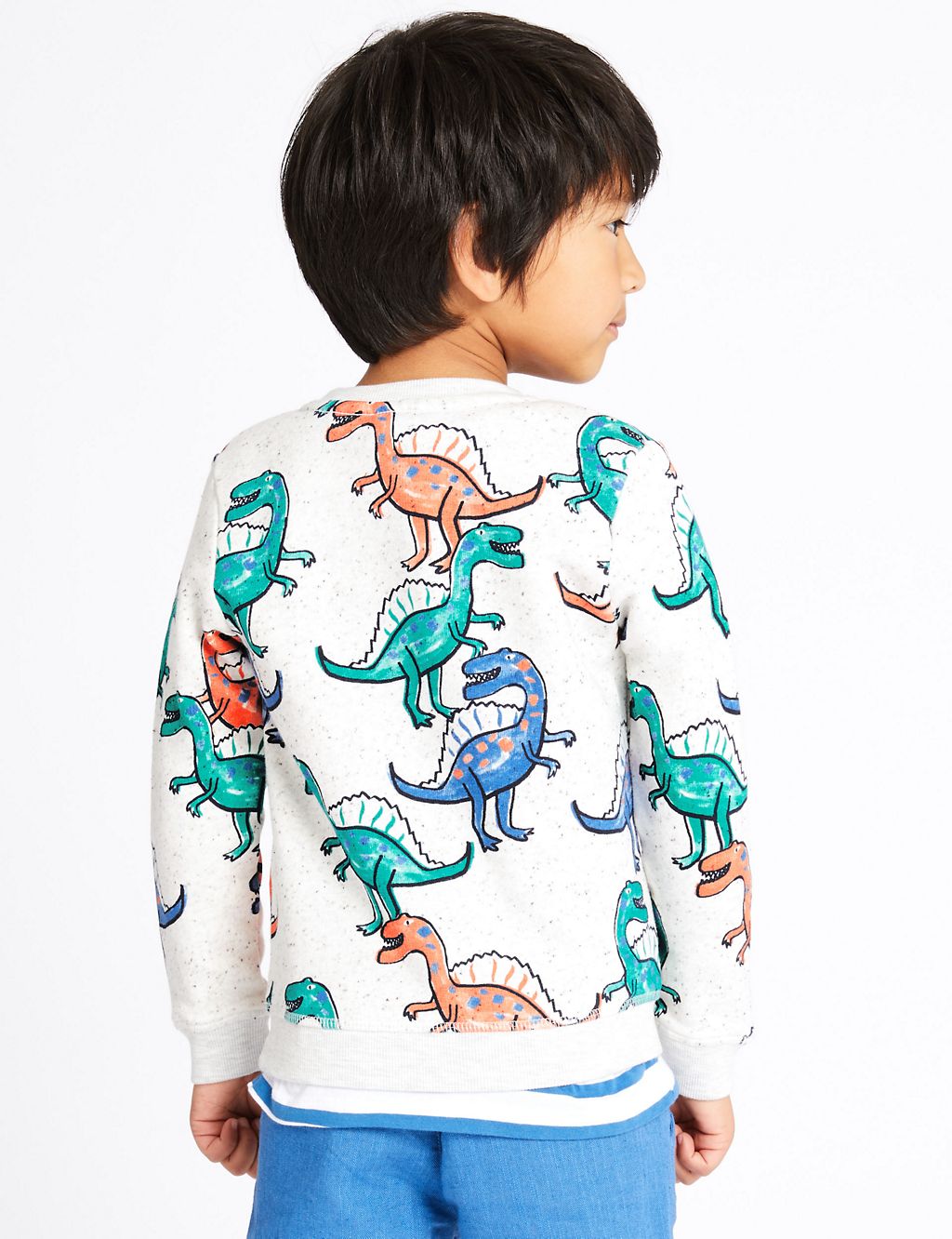 All Over Dinosaurs Print Sweatshirt (3 Months - 7 Years) 2 of 3