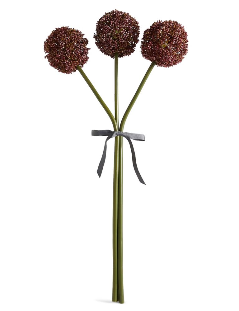 Allium Bouquet 1 of 3