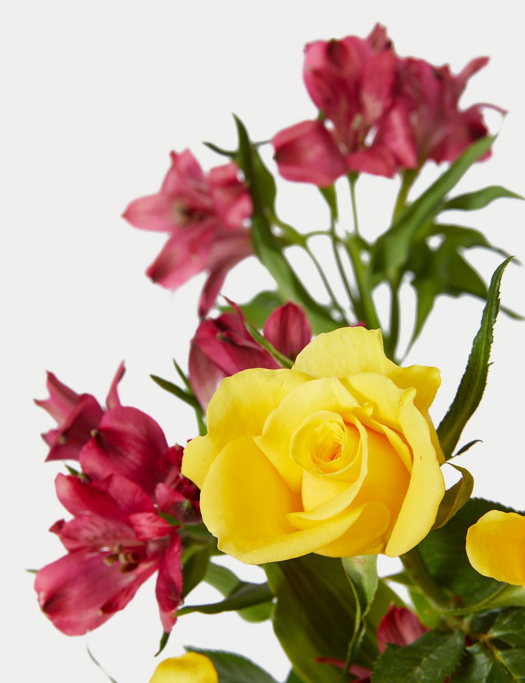 Alstroemeria, Rose & Freesia Bouquet 4 of 5