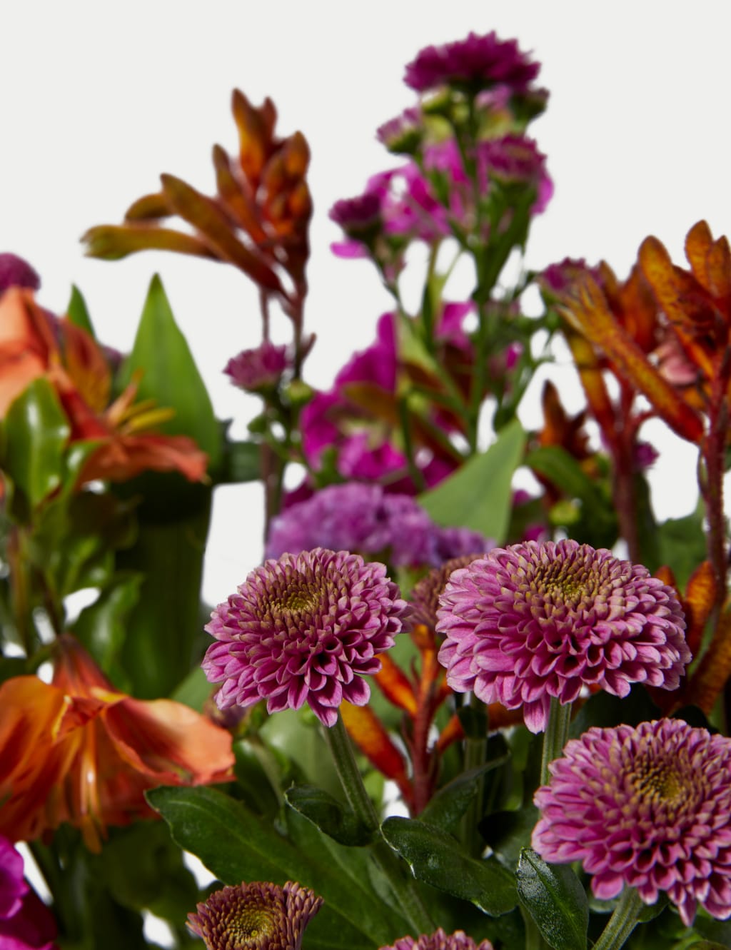 Alstroemeria, Stocks & Santini Chrysanthemum Bright Bouquet M&S