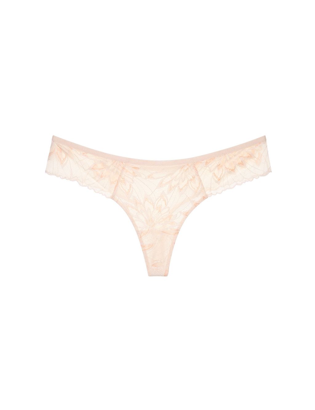 Amourette Charm All Over Lace Knickers 1 of 5