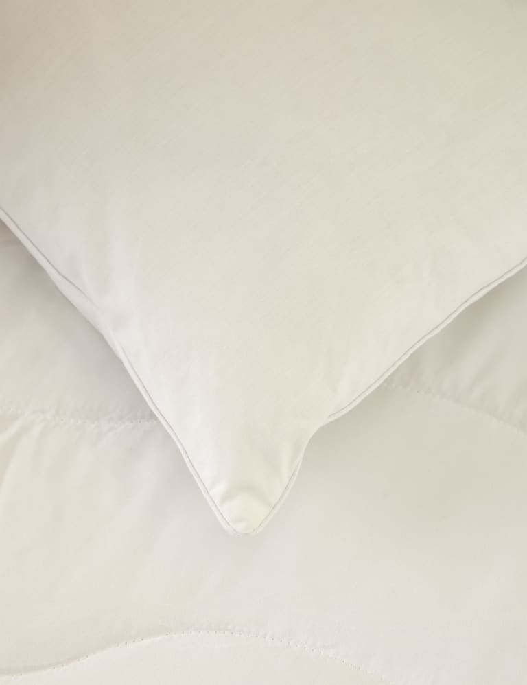 Anti allergy cot bed mattress protector outlet