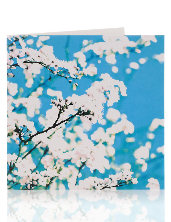Apple Blossom Blank Greetings Card Image 1 of 2